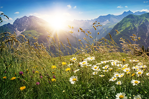 Geschäftsbericht Volksbank Vorarlberg Fotonachweis: Adobe Stock