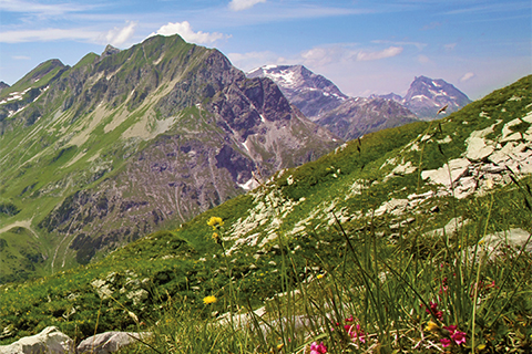 Geschäftsbericht Volksbank Fotonachweis: Adobe Stock