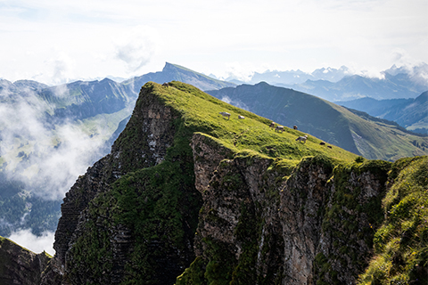 Geschäftsbericht Volksbank Vorarlberg 2019 Fotonachweis: Adobe Stock