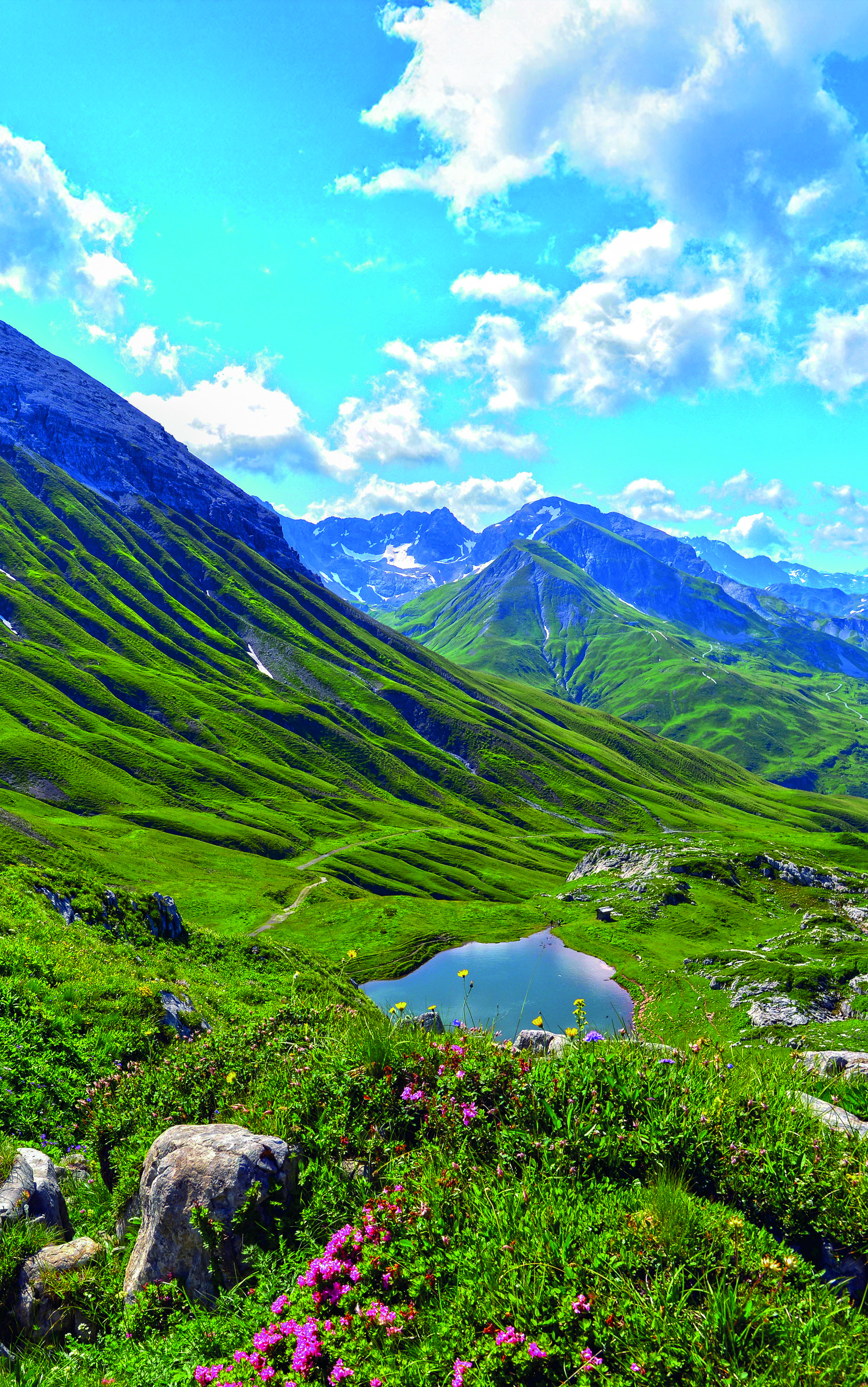 Natur